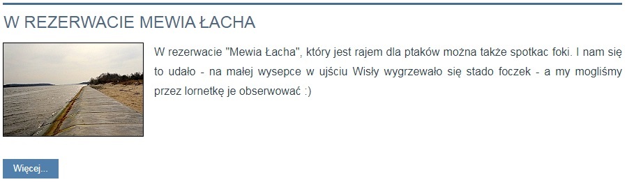 Mewia Łacha